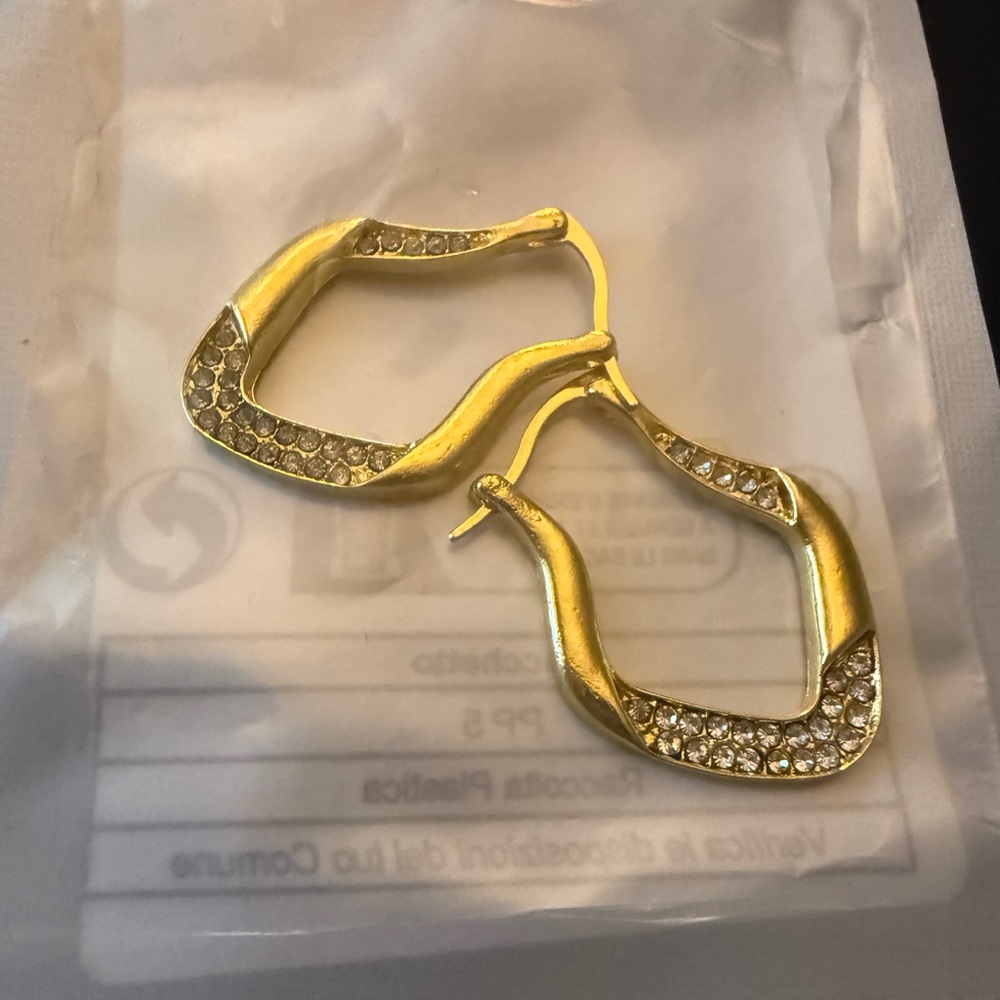 Elegant Gold and Silver Hoop Earrings